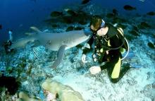 Láska pro kus žvance