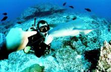 Láska pro kus žvance